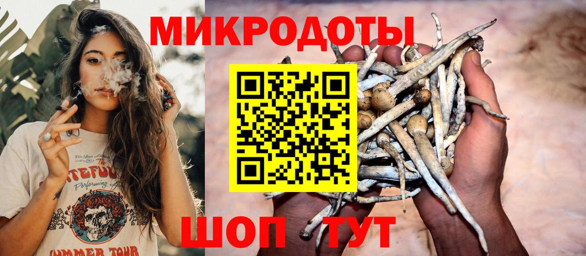 Семёнов  Галлюциногенные грибы мухоморы  Вход с VPN  Псилоцибиновые грибы прущие грибы 